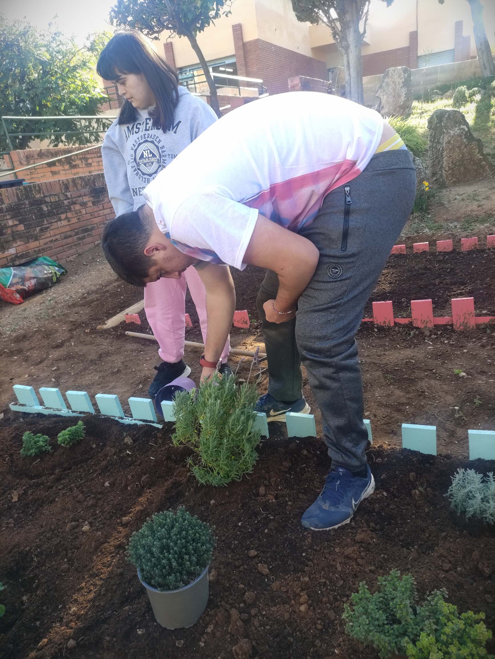 IMG_20250226_160633_resultat