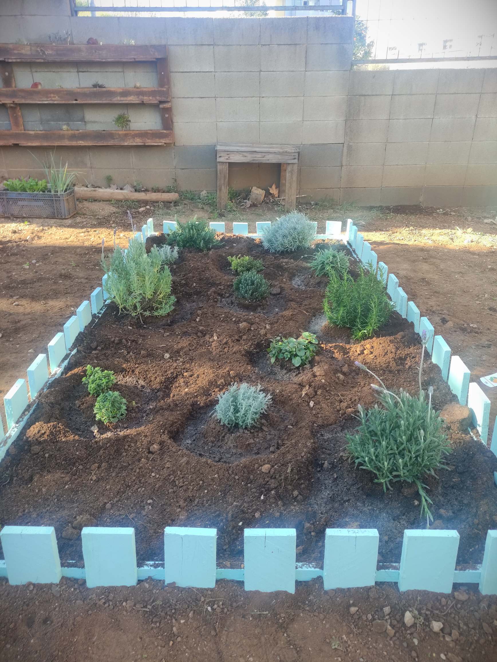 IMG_20250226_161712_resultat