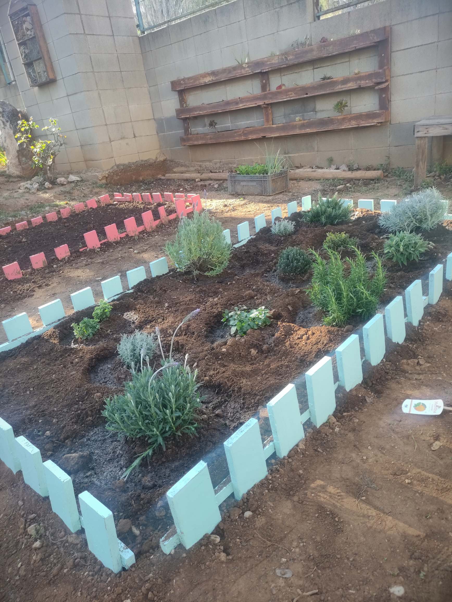 IMG_20250226_161721_resultat