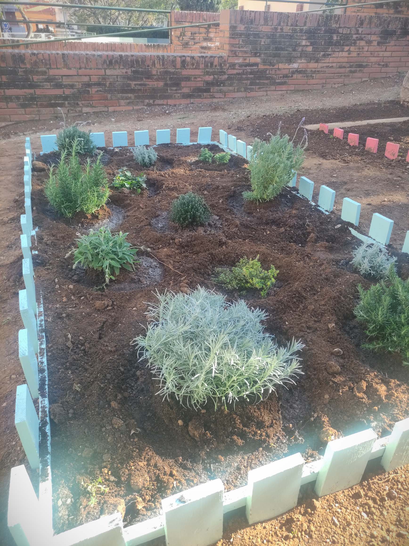 IMG_20250226_161728_resultat