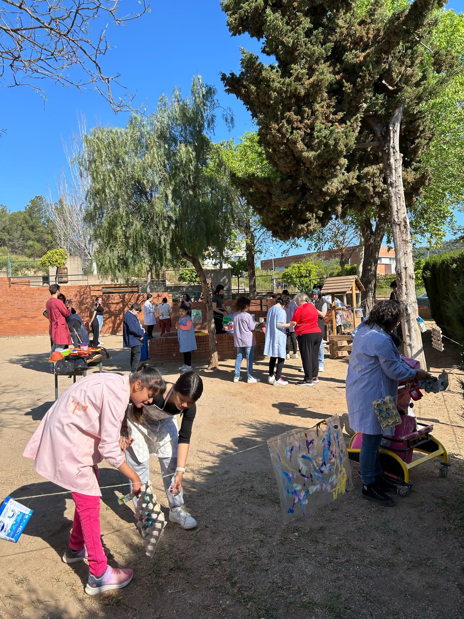 WhatsApp Image 2025-05-05 at 13.52.09