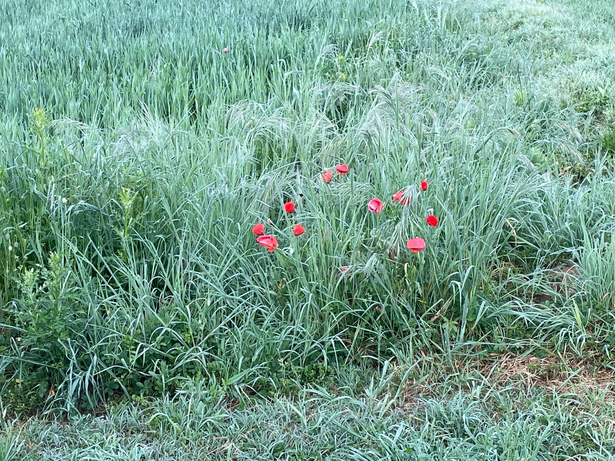 WhatsApp Image 2025-05-22 at 12.20.59 (1)