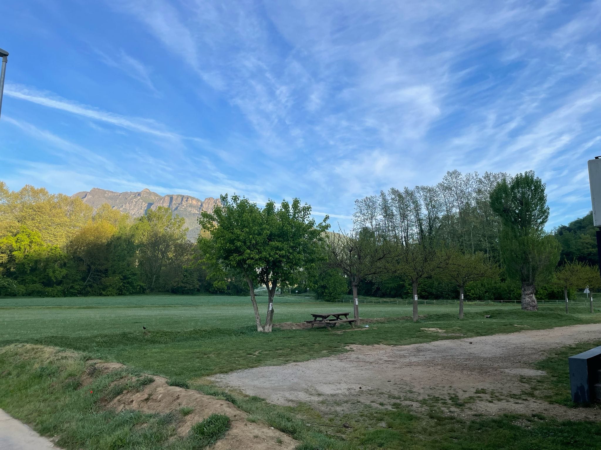 WhatsApp Image 2025-05-22 at 12.21.00