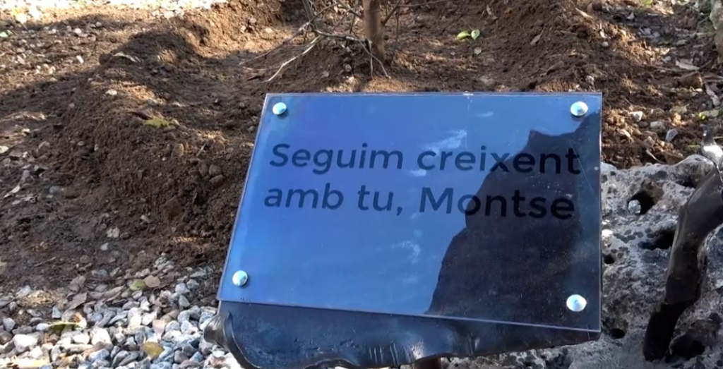 Homenatge a Montse Tarrés