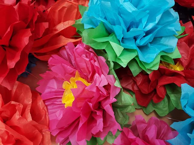 20210428_134925 (Copy)