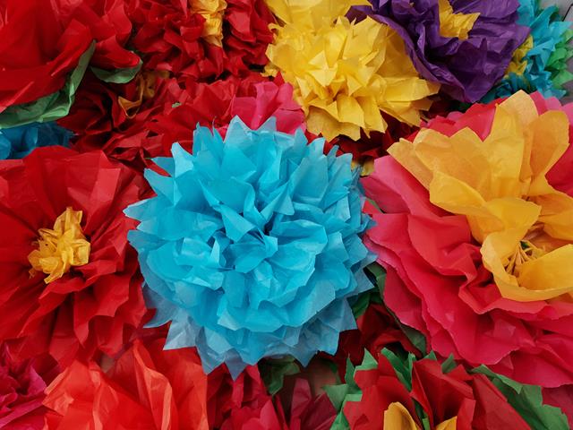 20210428_140342 (Copy)