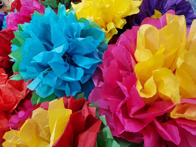 20210428_140508 (Copy)