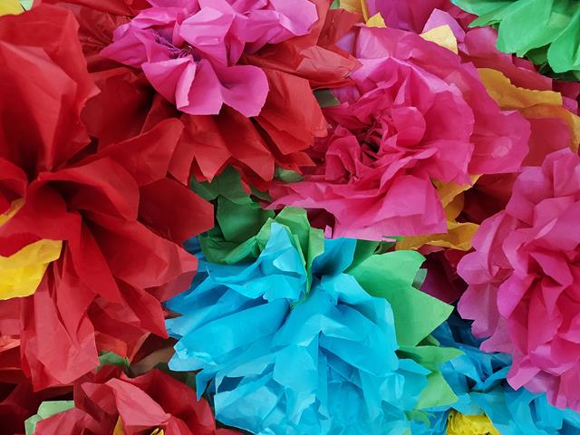 20210428_141751 (Copy)