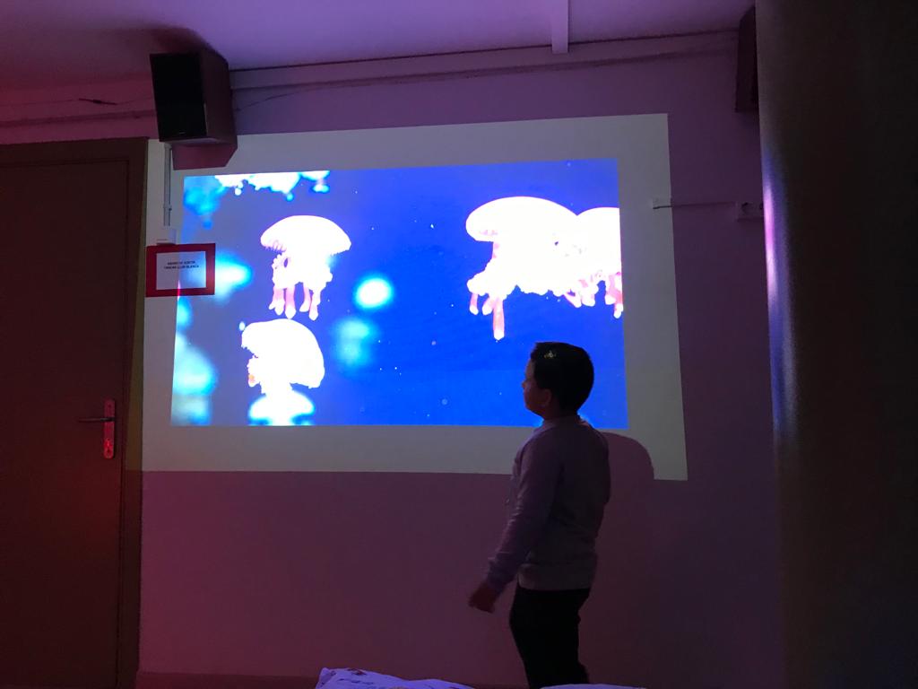 99059aa8-631b-4332-adfc-5297e9d68395