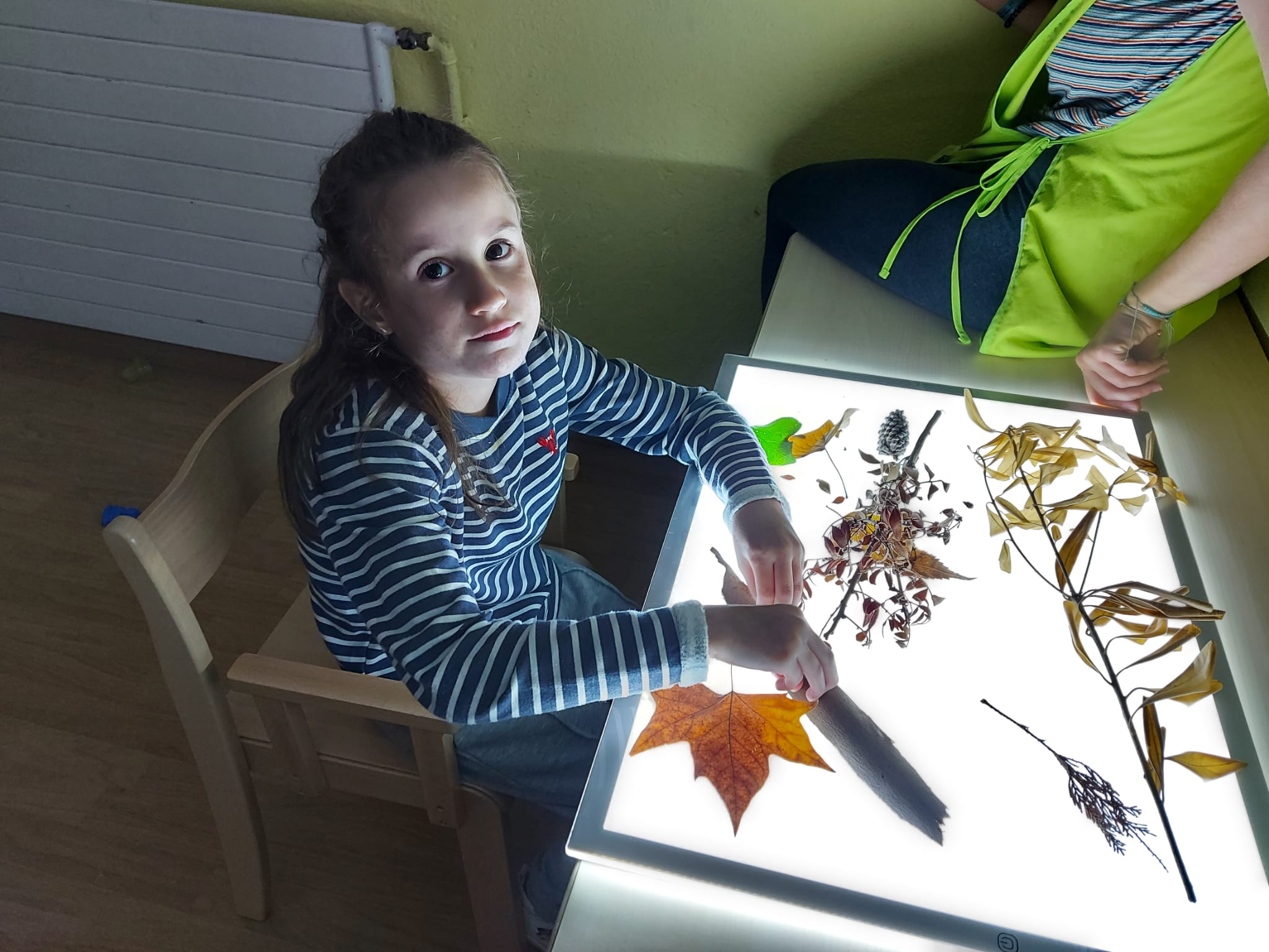 WhatsApp Image 2021-11-03 at 11.49.15