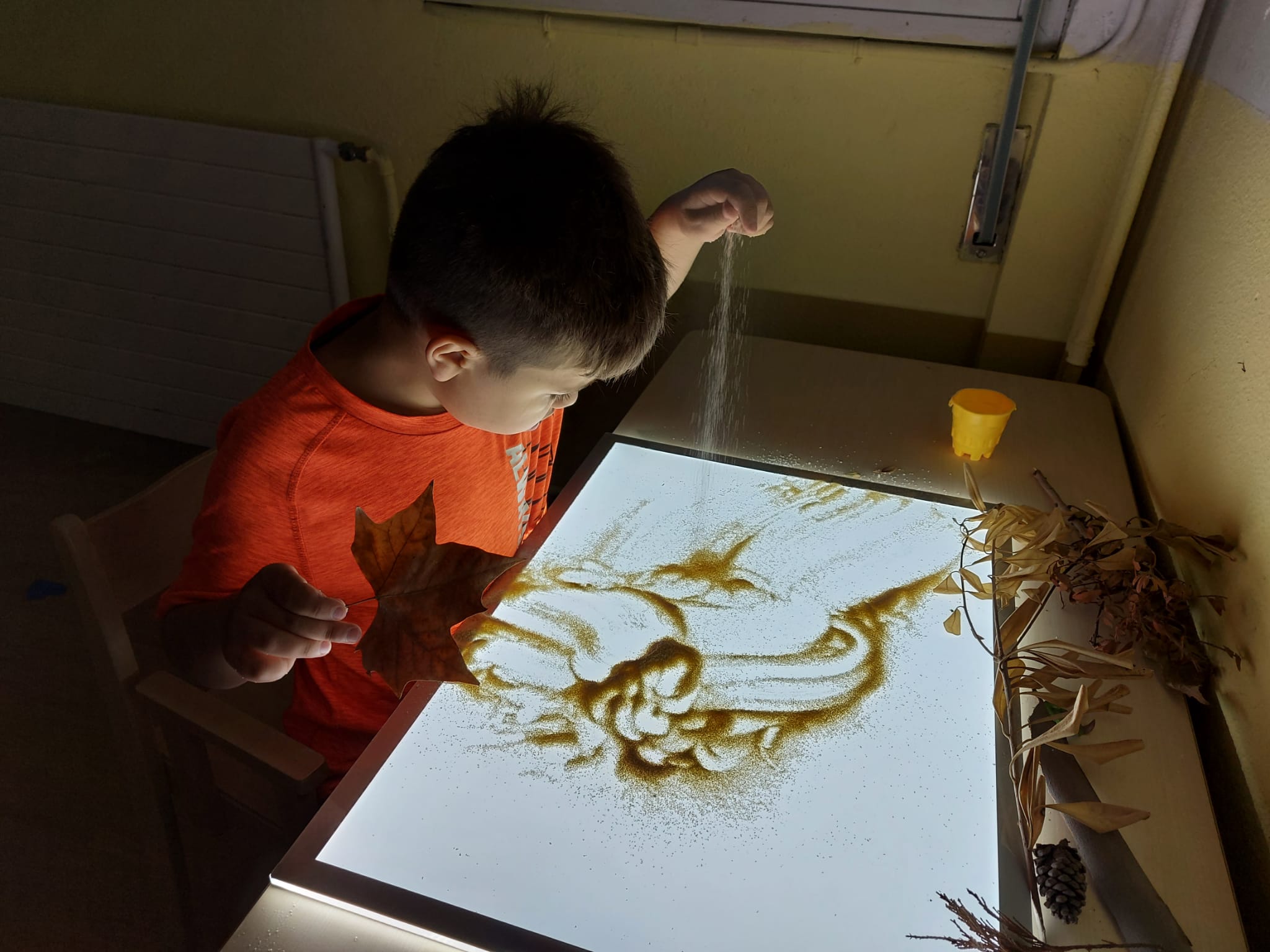 WhatsApp Image 2021-11-03 at 11.50.12