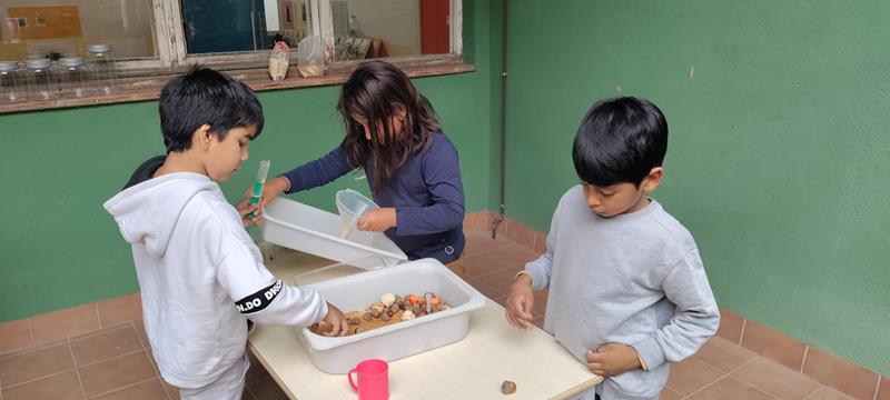 IMG_20220928_121430 (Copy) (Copy)