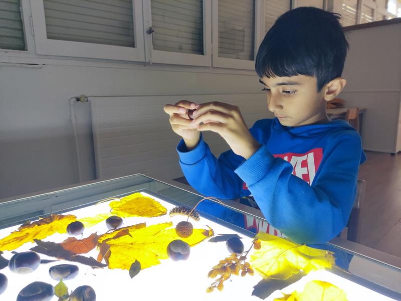 d7dee53b-ae5c-47ee-a28e-f2adb3bb9b04