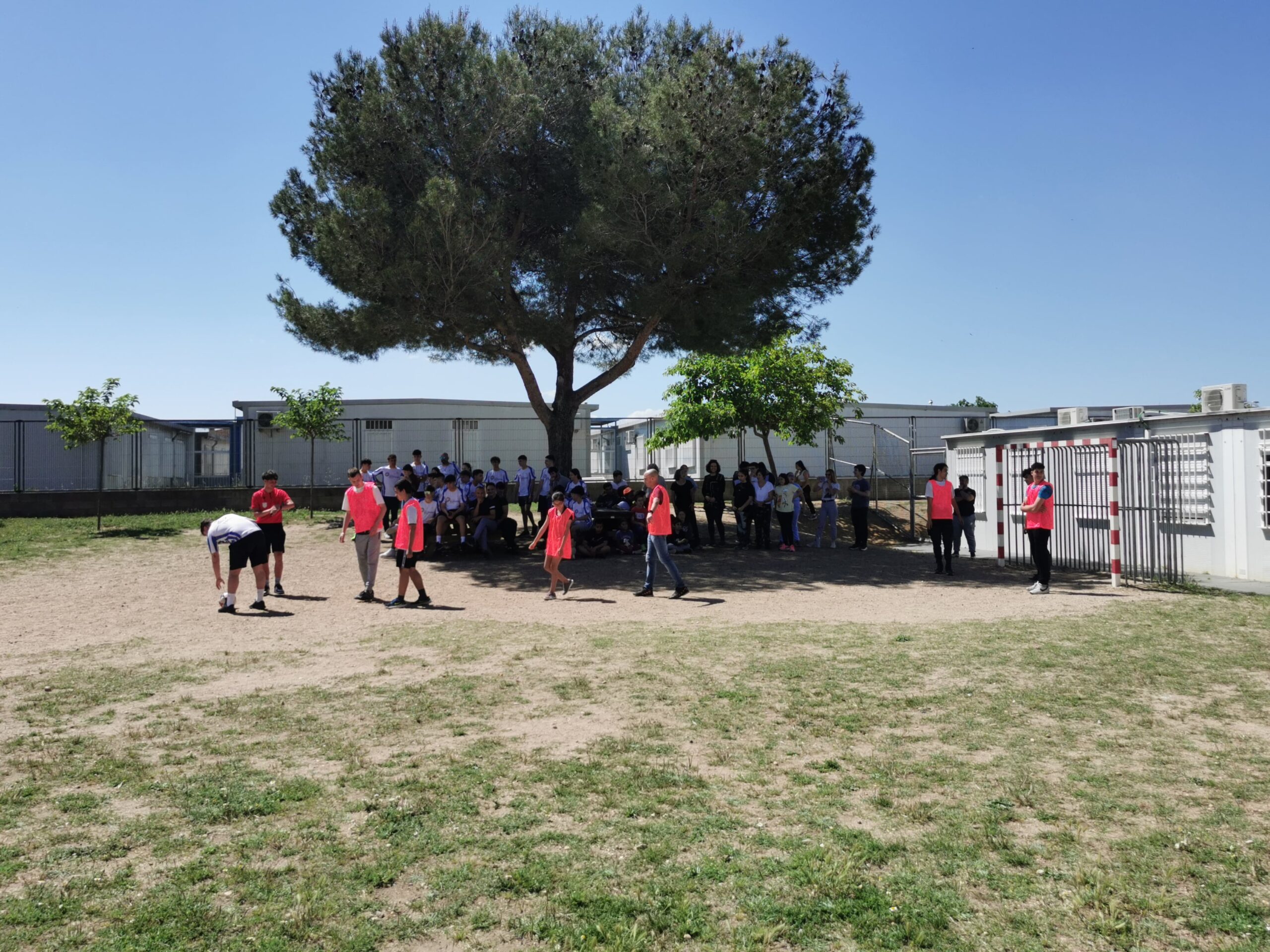 IMG_20240509_120346-min