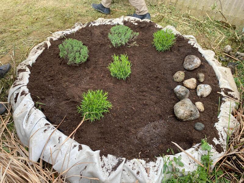 6d66e258-c626-47e0-bcd3-0add4ef0d446