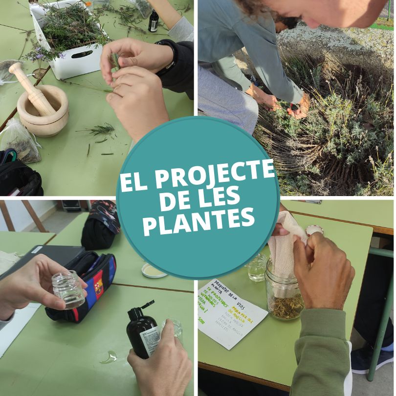 PROJECTE DE LES PLANTES