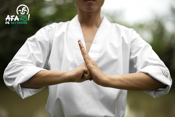 Extraescolar Taekwondo