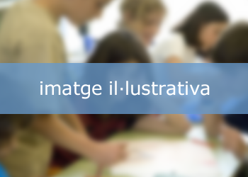 Imatge 1