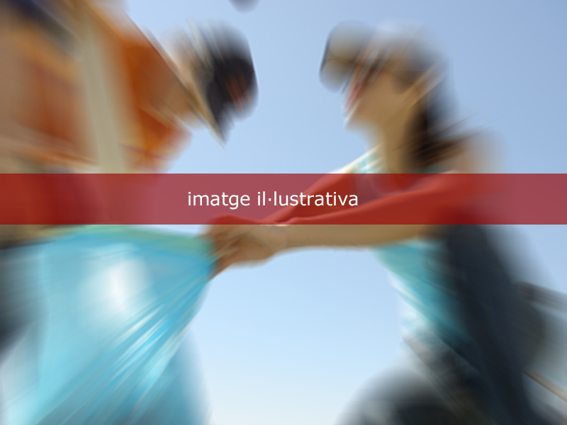 Imatge 2