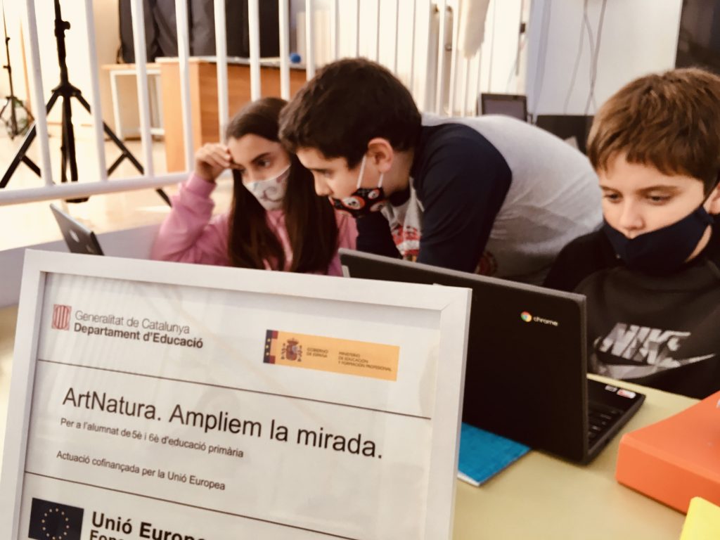 Formació per a realitzar activitats i material per a la capacitació digital de 5è i 6è (POEFA)