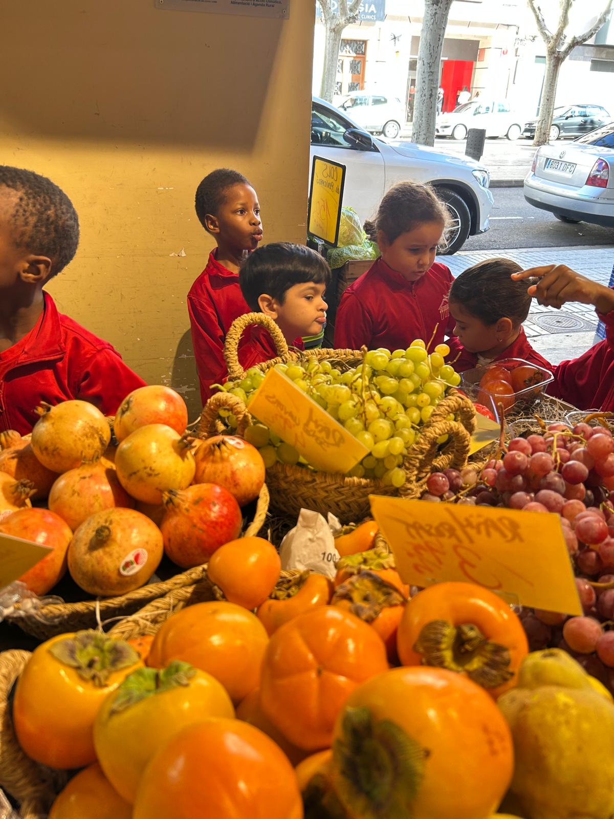 PHOTO-2025-10-26-15-33-46(6)