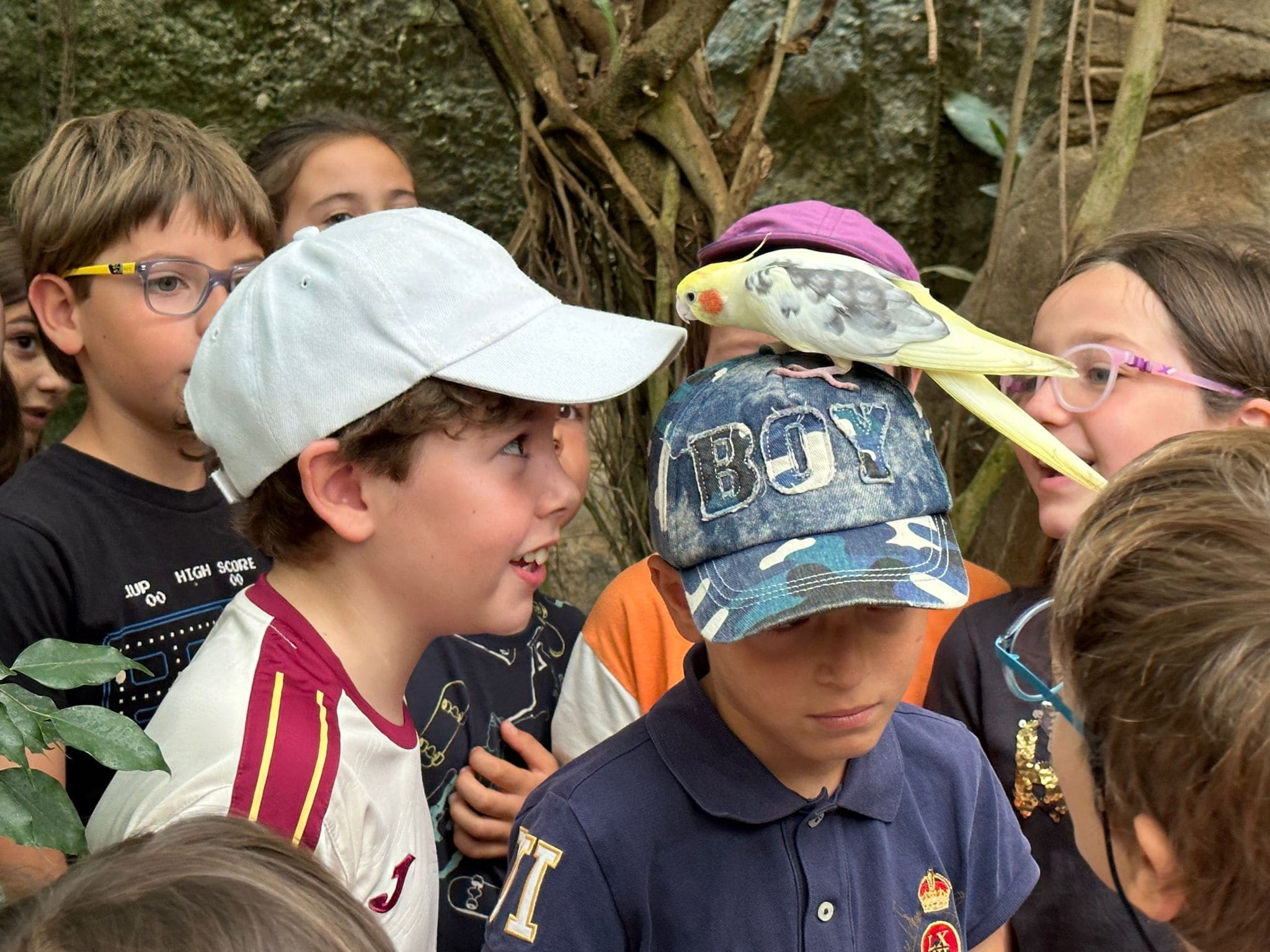 PHOTO-2023-06-21-13-27-16