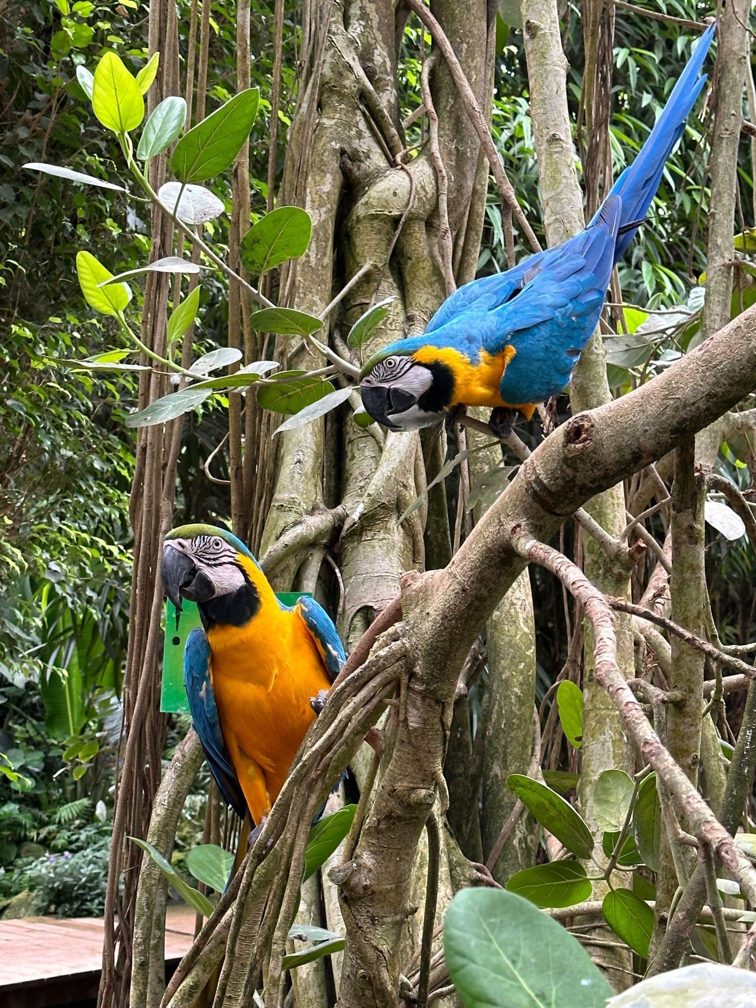 PHOTO-2023-06-21-13-27-17