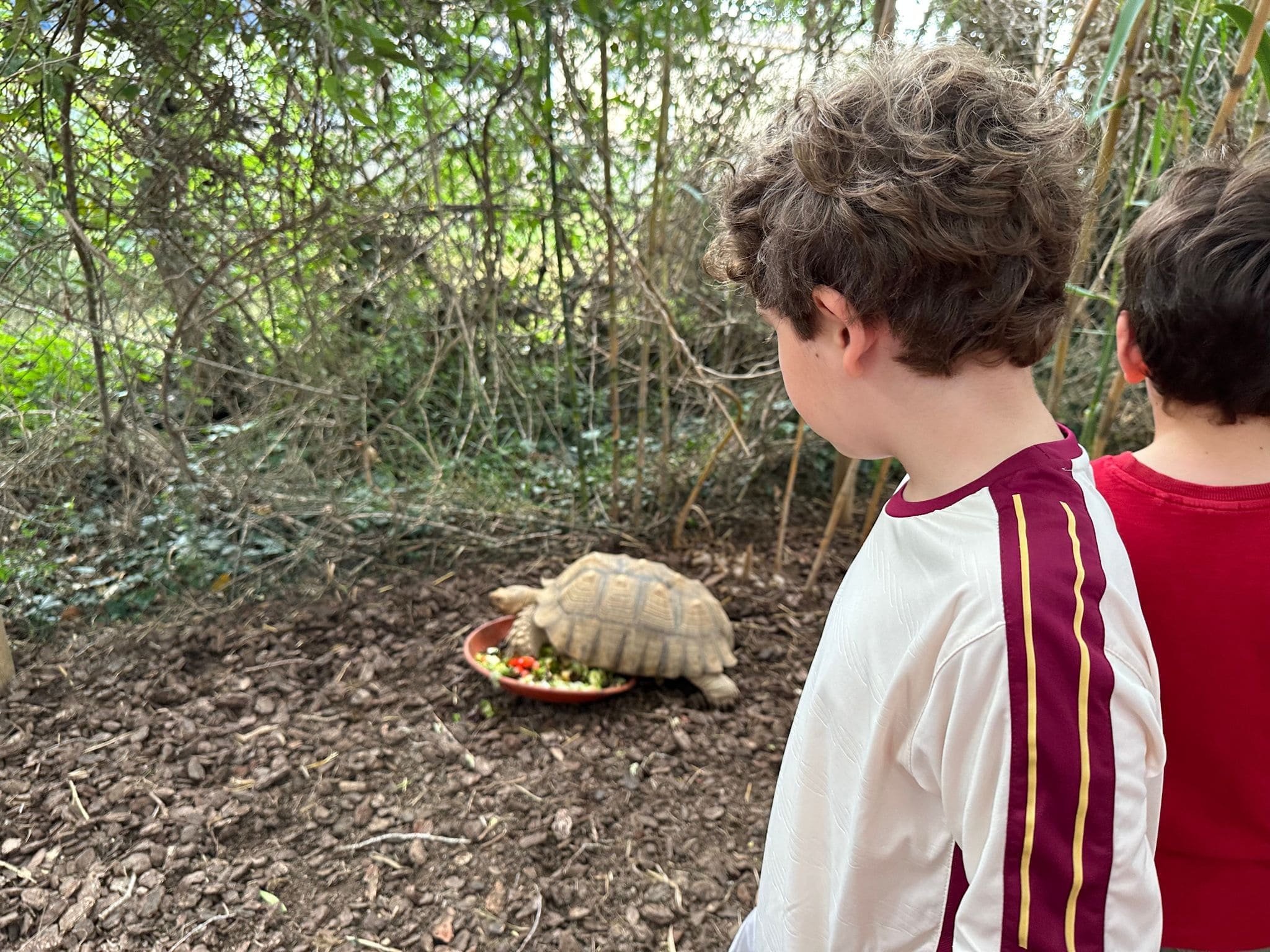 PHOTO-2023-06-21-13-27-17(3)