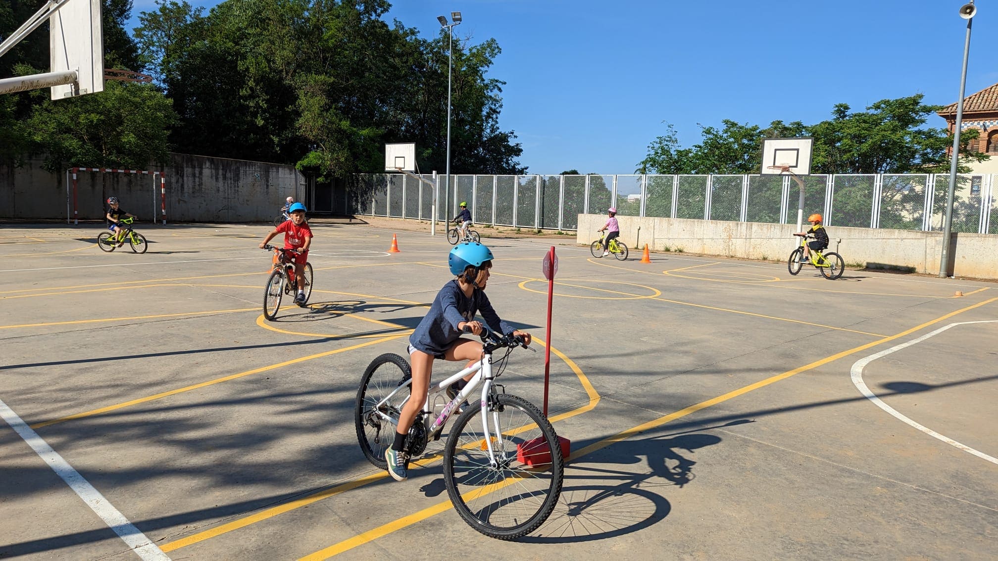 cd367c88-c256-4d06-a8dc-6a6e0bb71a9d