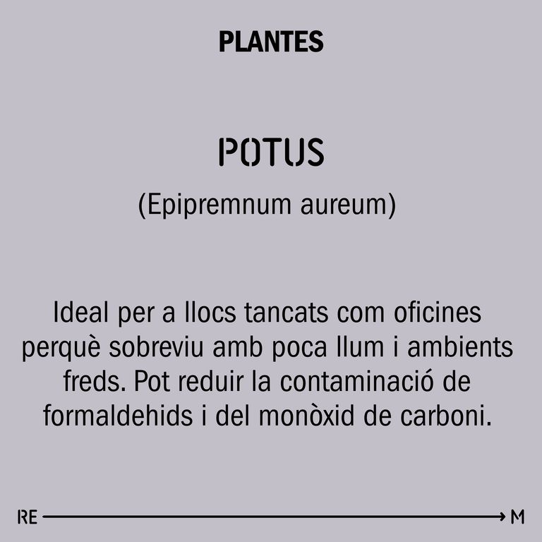 4E32 plantes potus_resultat