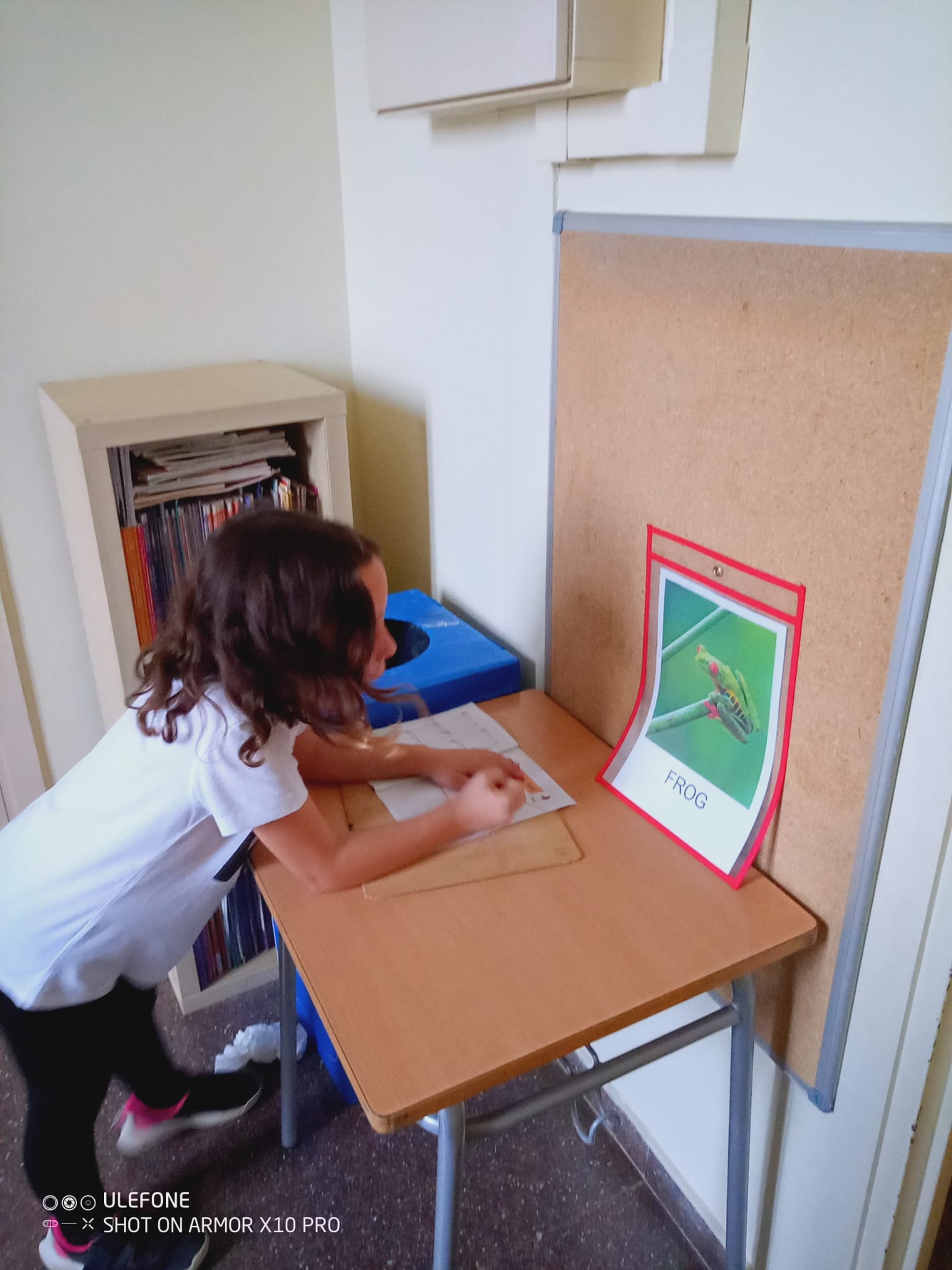 WhatsApp Image 2025-10-20 at 13.16.25