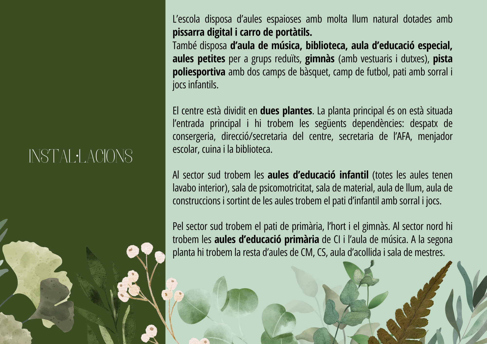 Presentación Proyecto Clase Naturaleza Hojas acuarela Orgánica Verde (6)