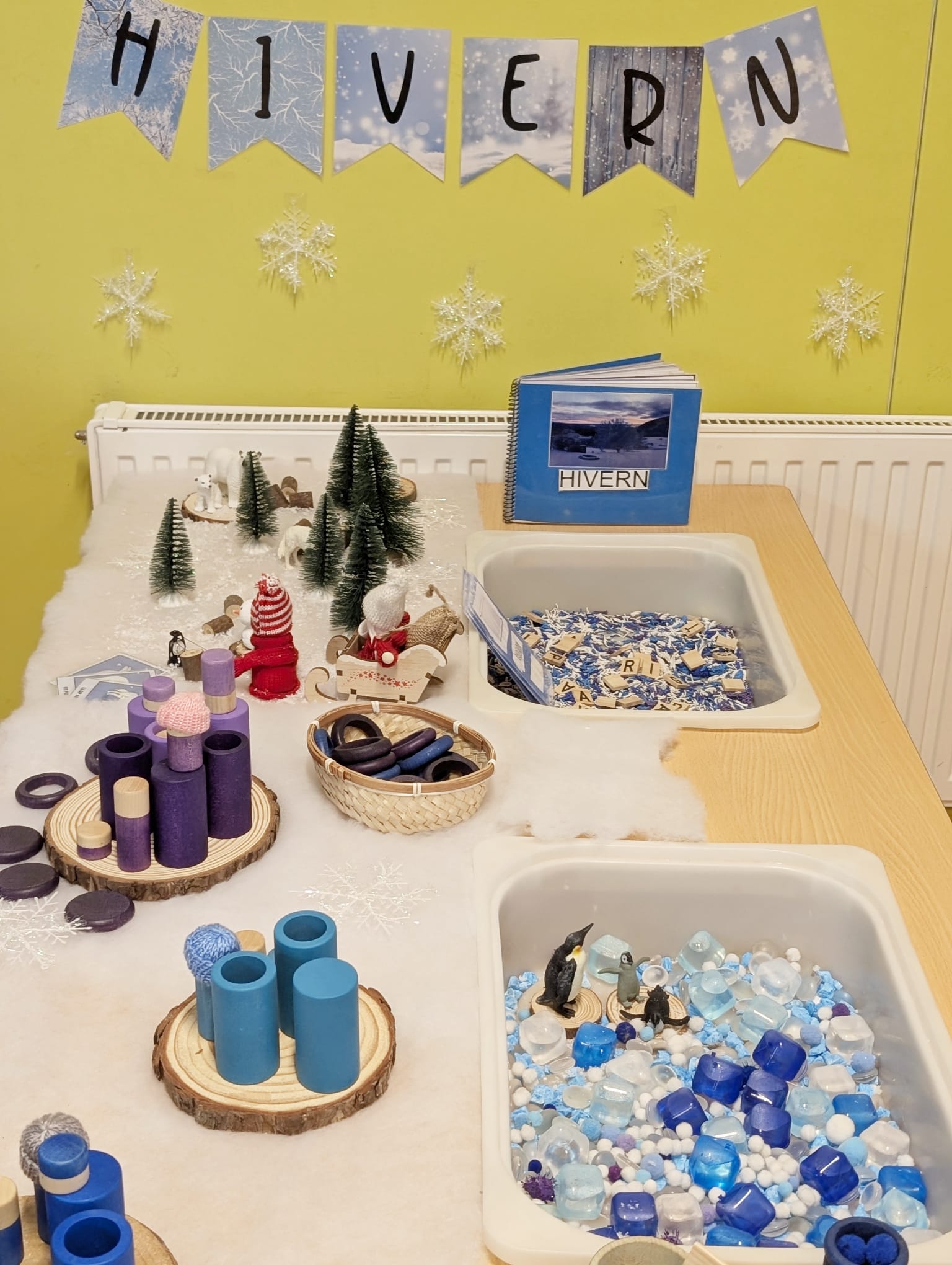 WhatsApp Image 2026-01-20 at 13.01.45