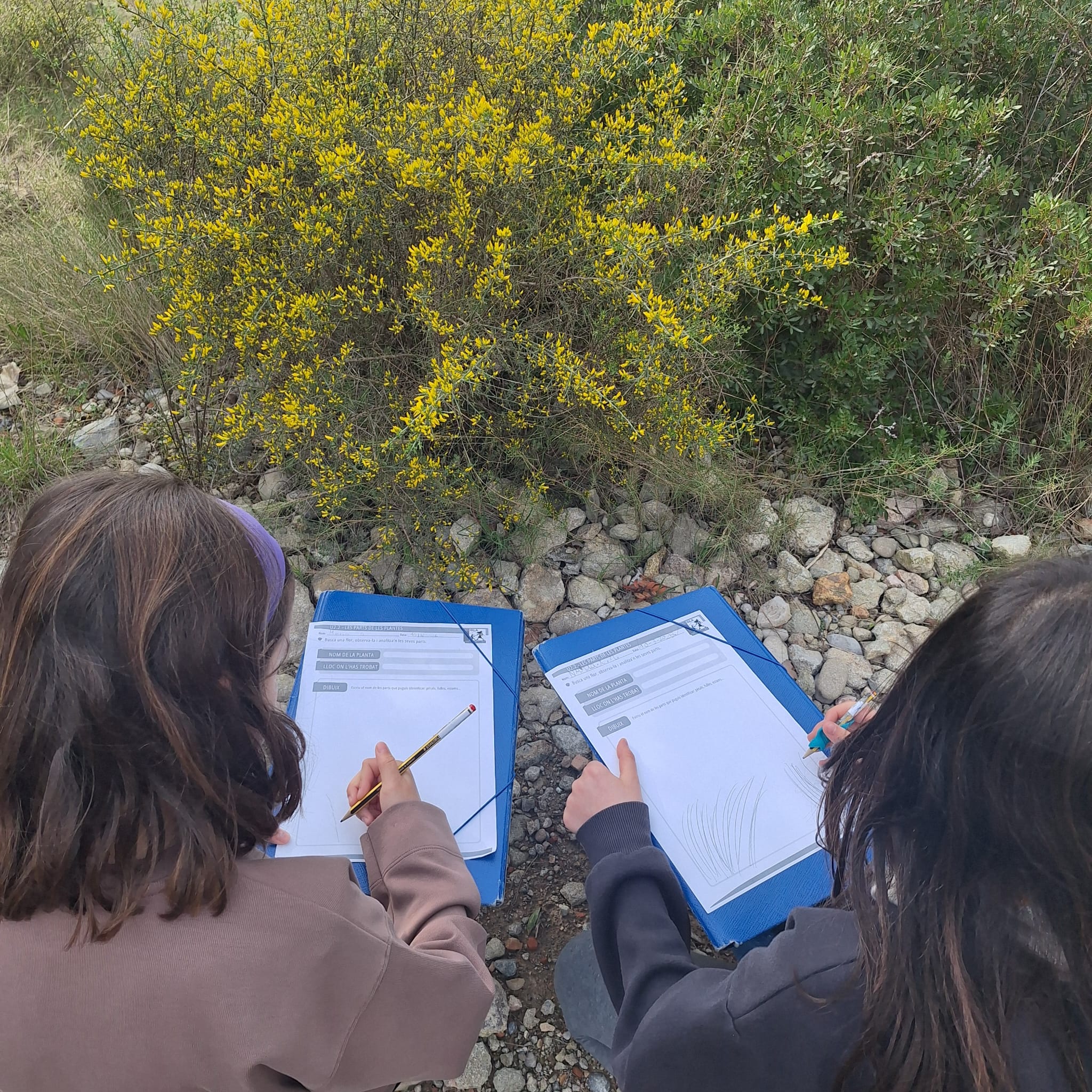 WhatsApp Image 2026-03-10 at 16.24.10