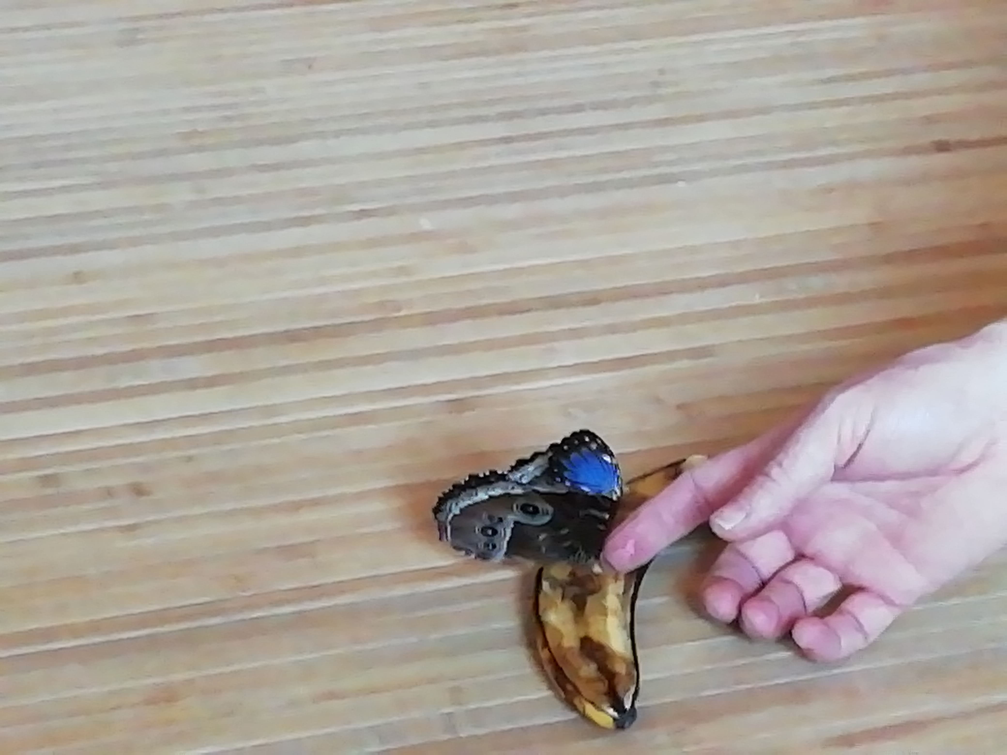 IMG_20200128_101154_BURST002