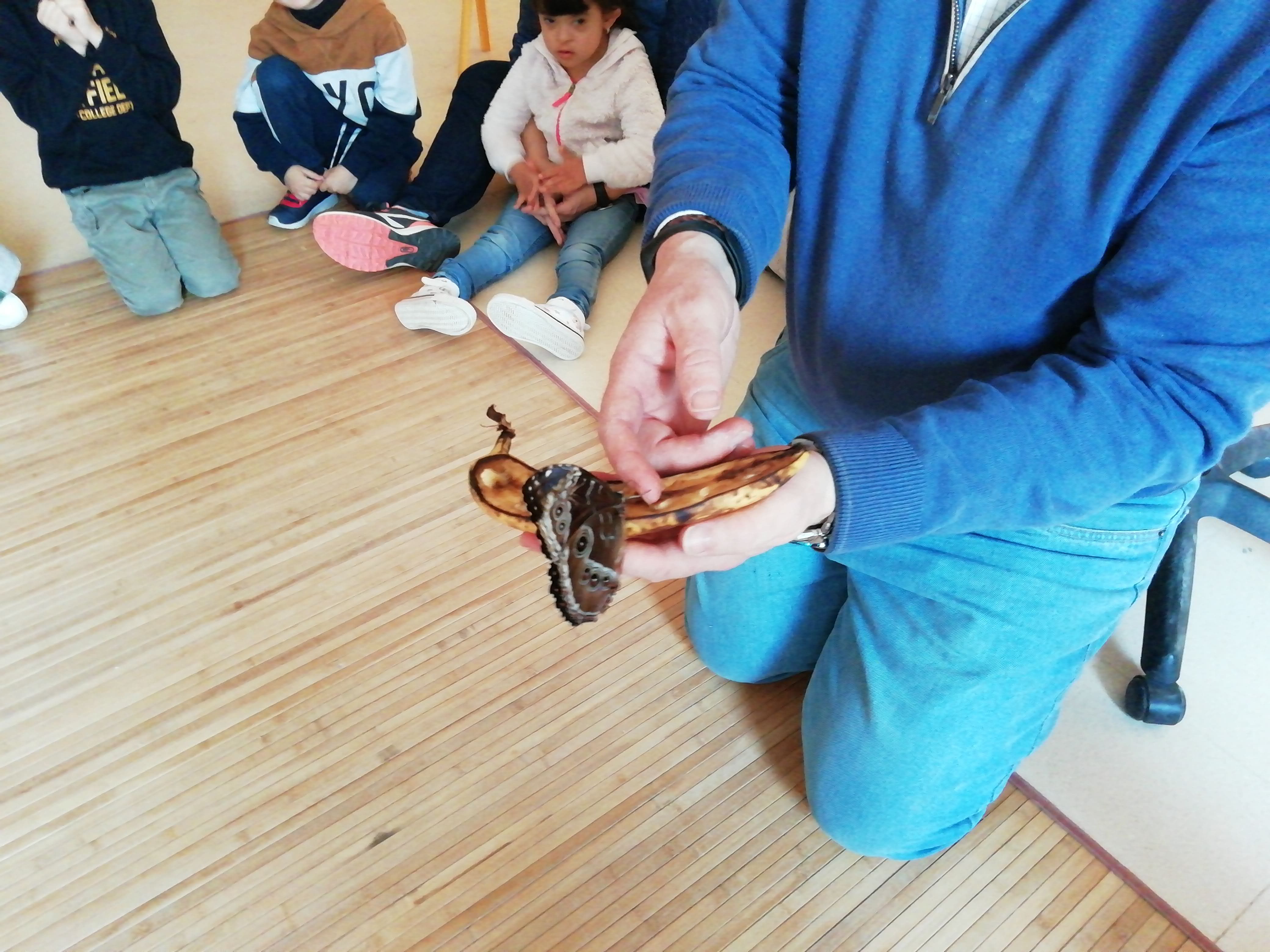 IMG_20200128_101227_BURST002