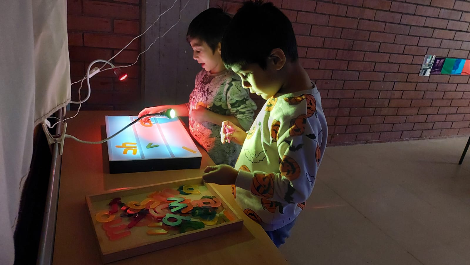 WhatsApp Image 2024-11-08 at 17.07.03 (1)