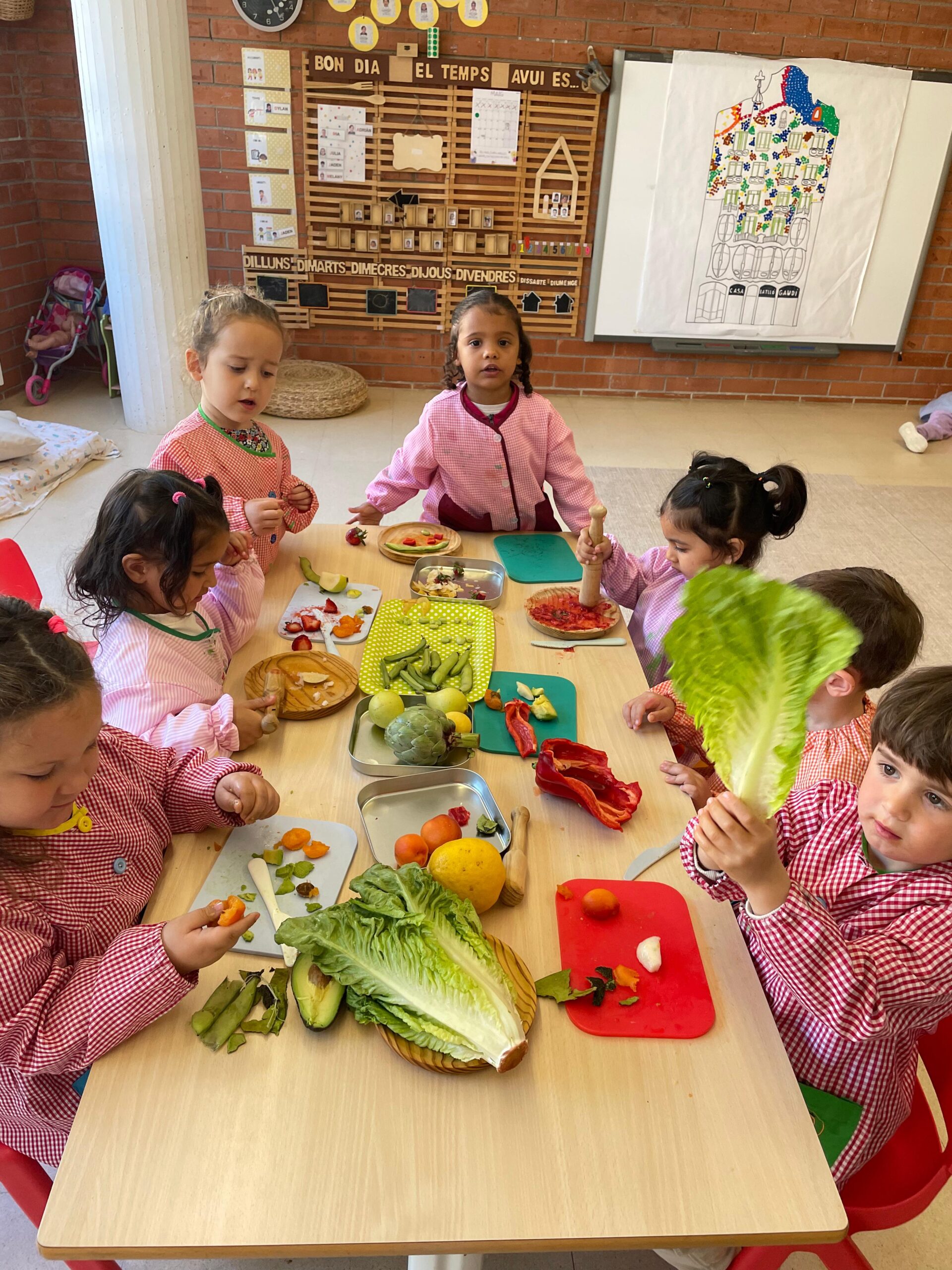 WhatsApp Image 2025-05-16 at 16.10.48