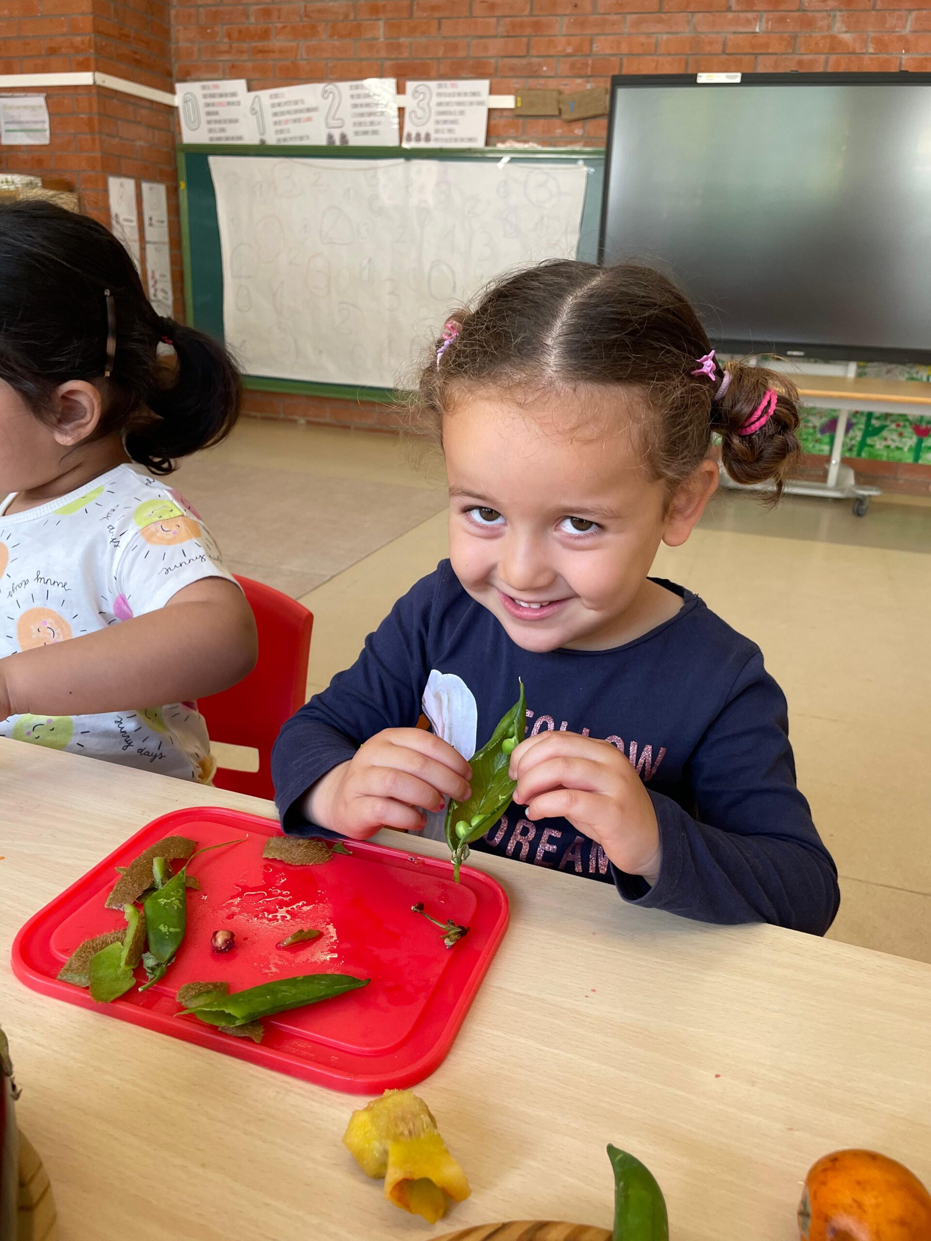 WhatsApp Image 2025-05-16 at 16.10.49 (3)