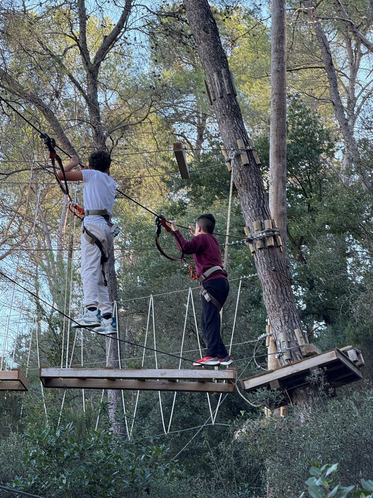 WhatsApp Image 2025-10-22 at 20.30.53 (1)