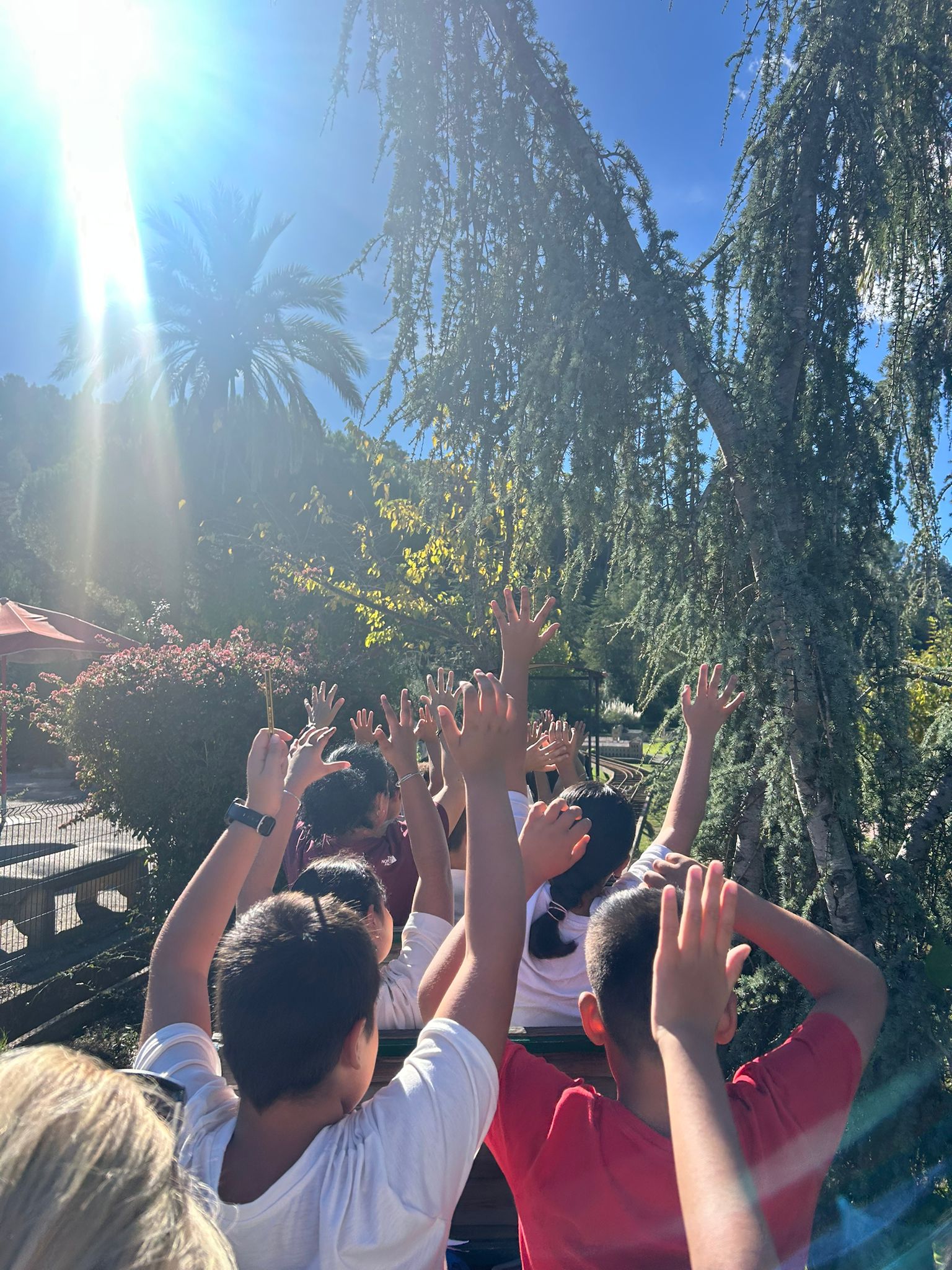 WhatsApp Image 2025-10-22 at 22.14.17 (1)