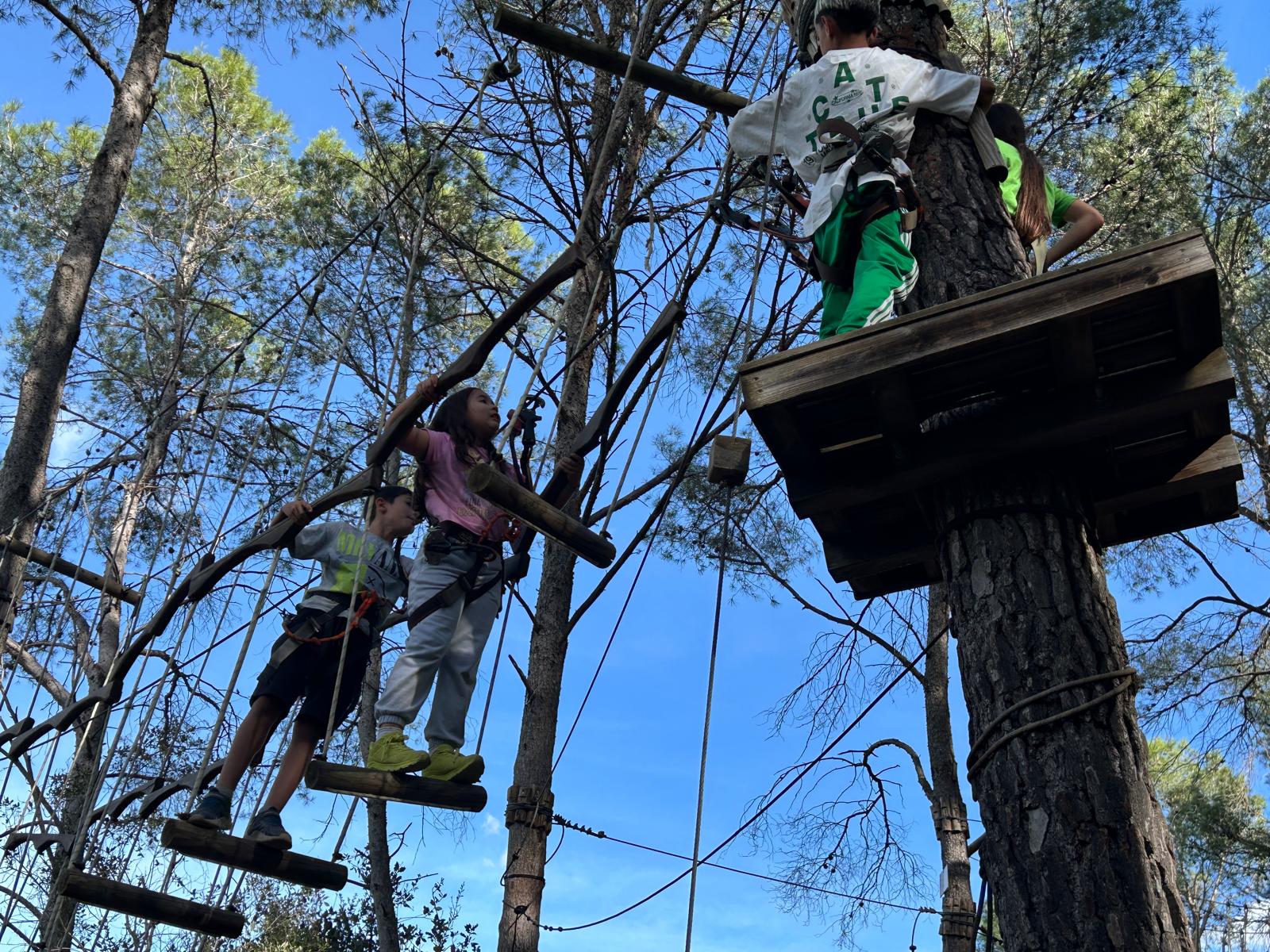 WhatsApp Image 2025-10-23 at 19.45.25 (3)