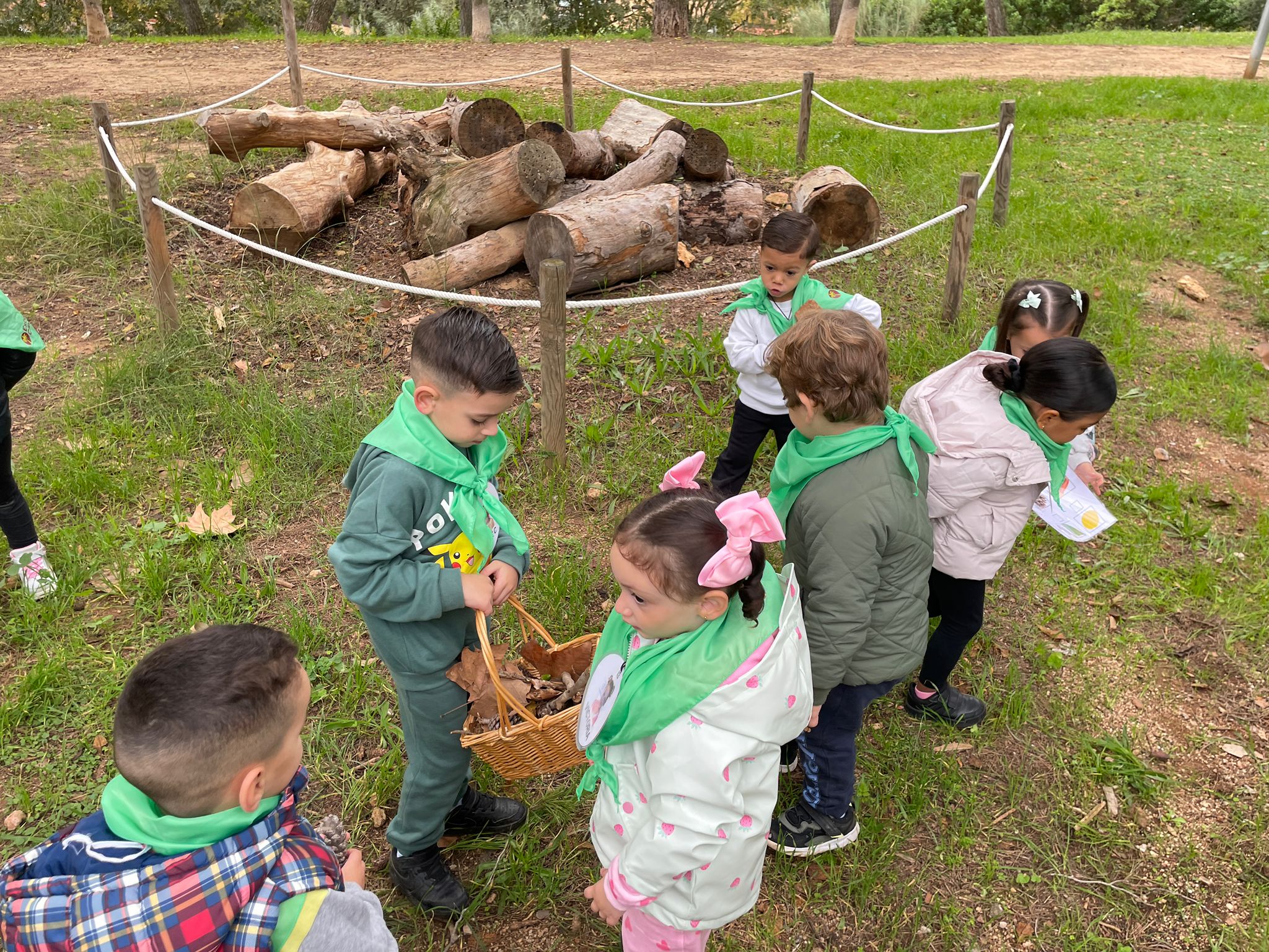 WhatsApp Image 2025-11-13 at 17.10.33