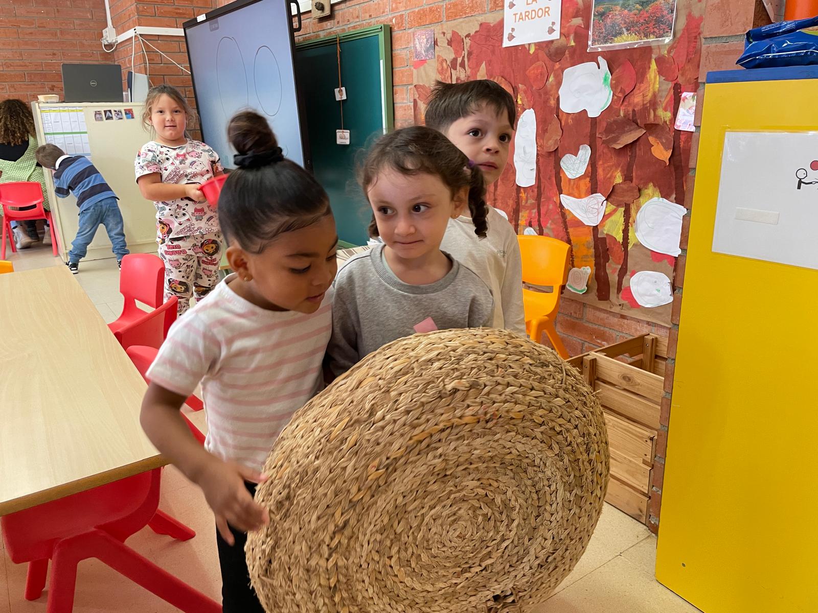 WhatsApp Image 2025-11-17 at 13.07.36