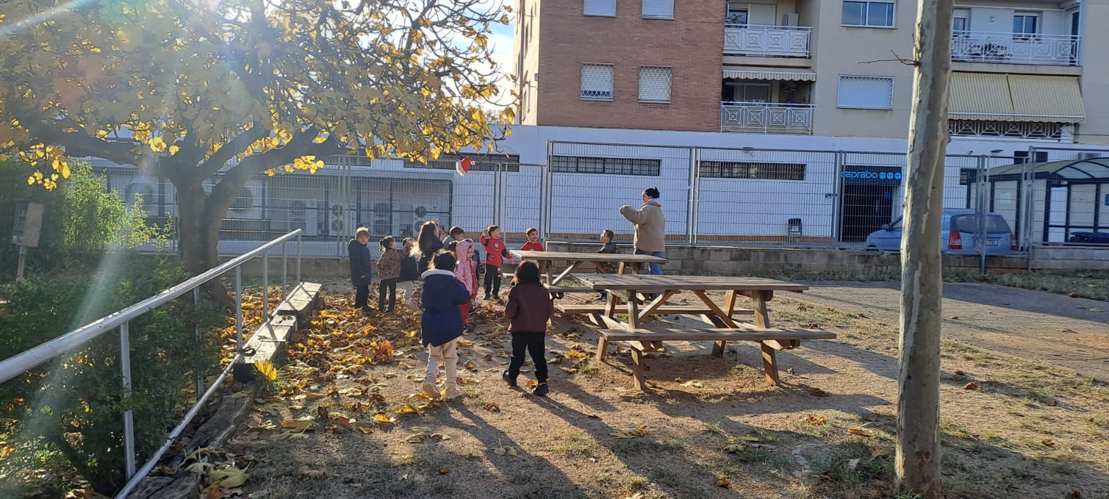 WhatsApp Image 2025-12-09 at 17.03.41 (1)