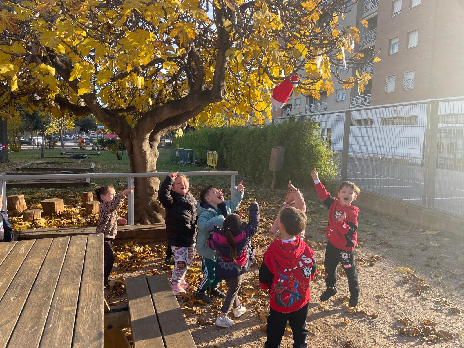 WhatsApp Image 2025-12-09 at 17.04.34