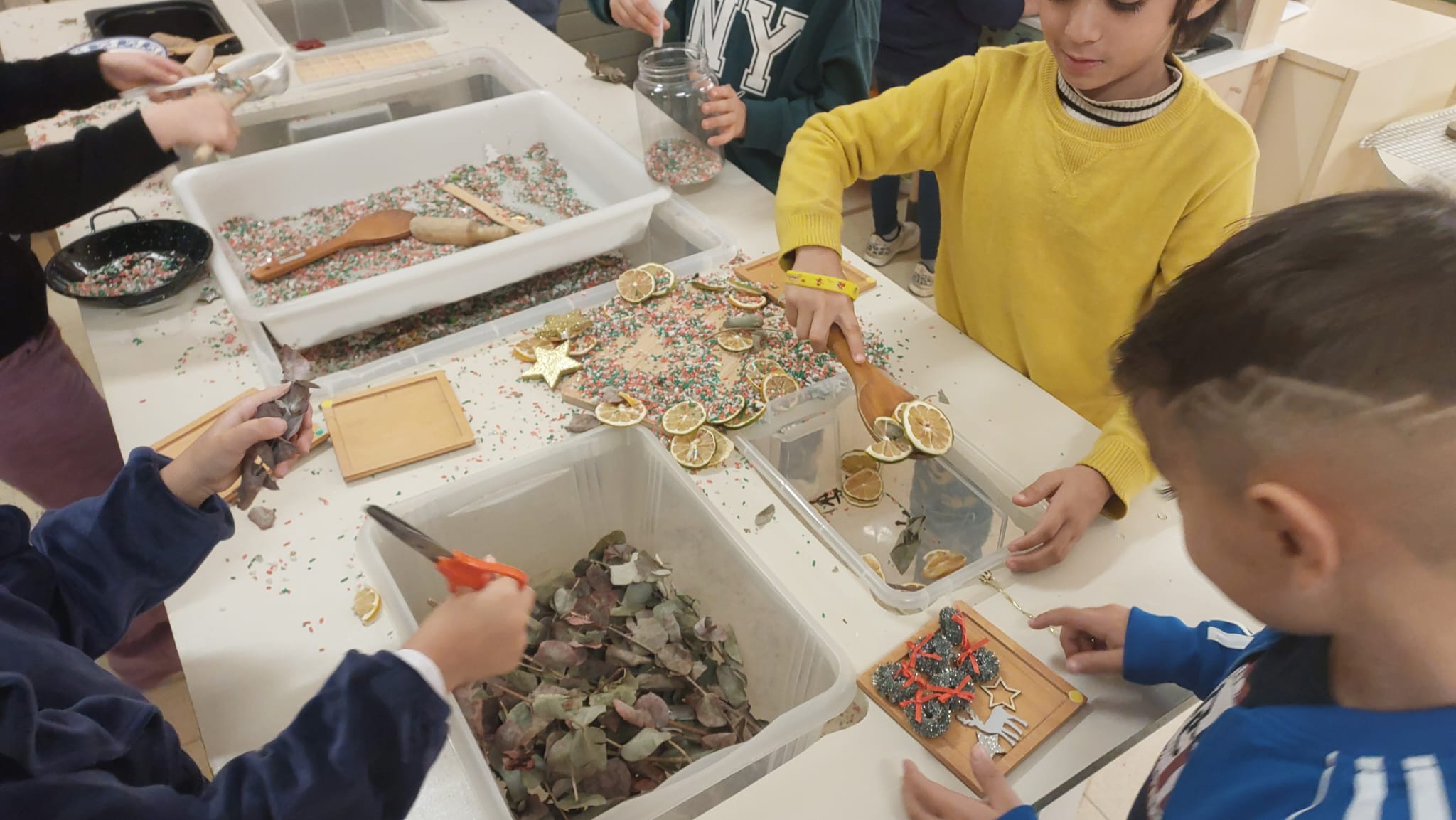 WhatsApp Image 2025-12-11 at 17.20.16