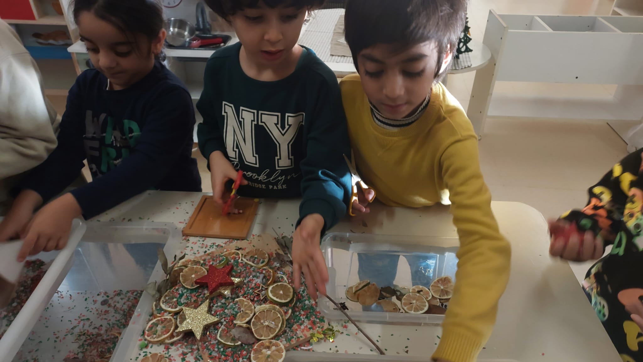 WhatsApp Image 2025-12-11 at 17.20.20