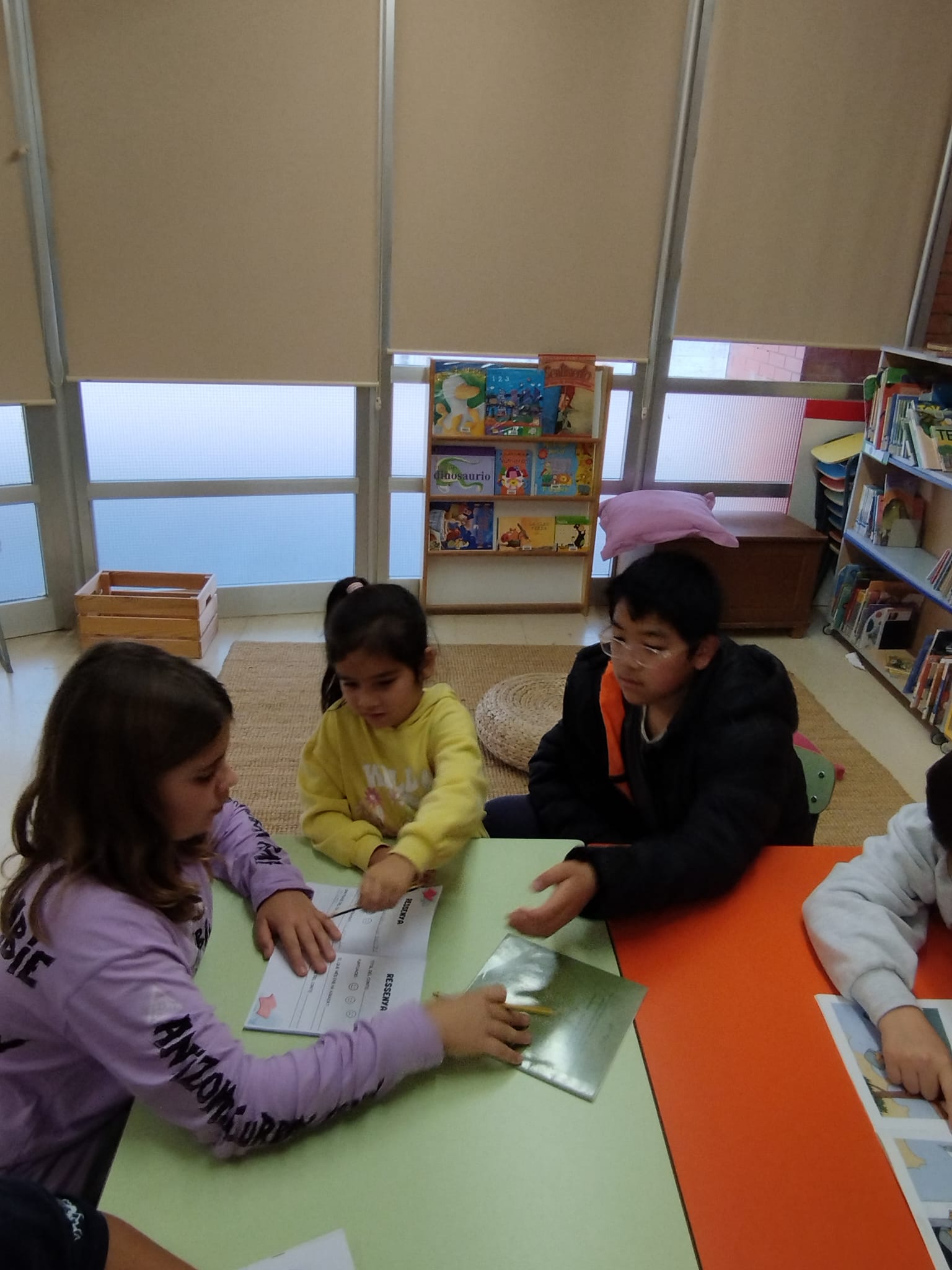 WhatsApp Image 2025-12-12 at 18.45.13