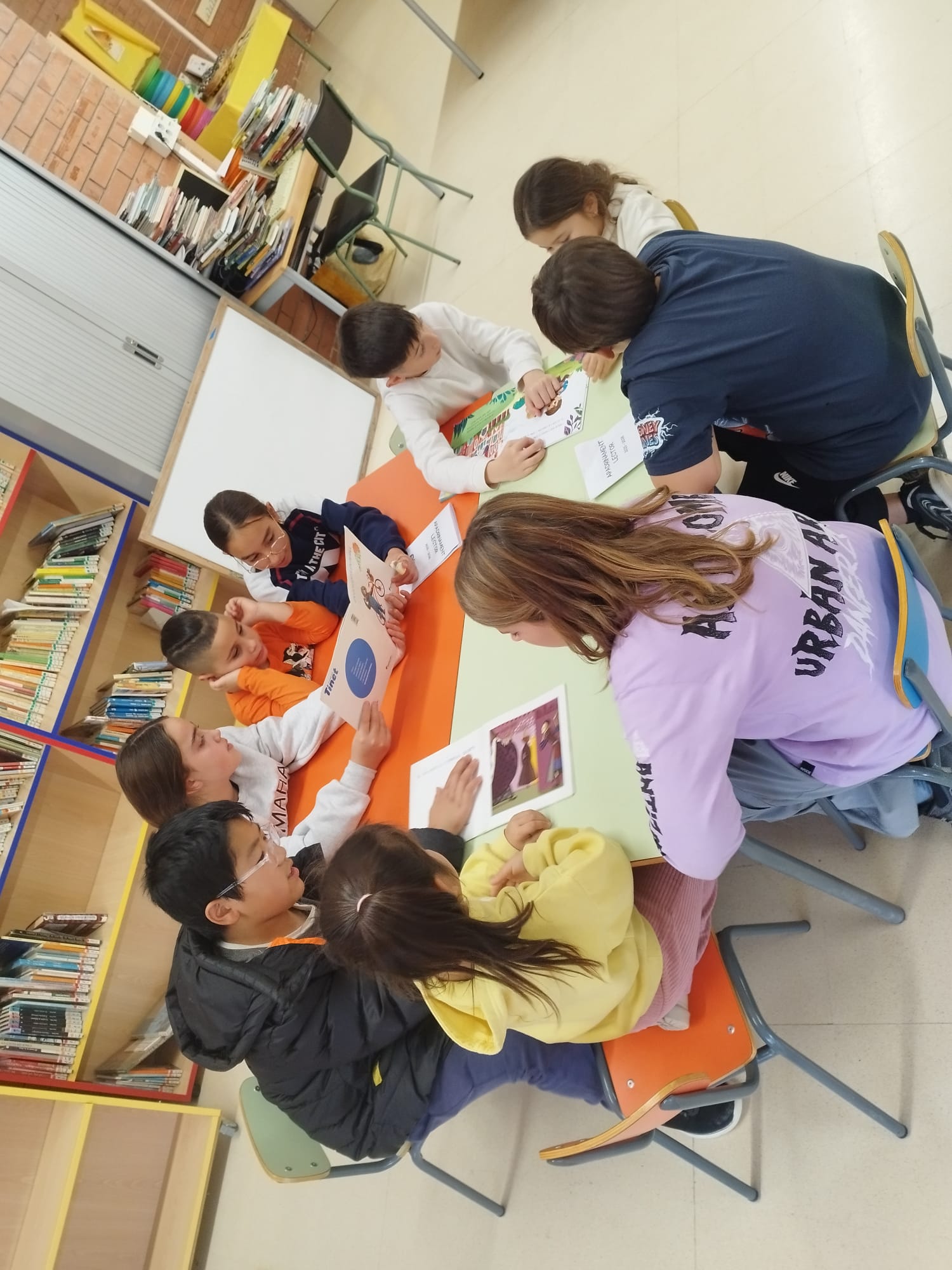 WhatsApp Image 2025-12-12 at 18.45.14 (1)